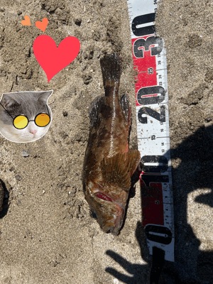 🐟