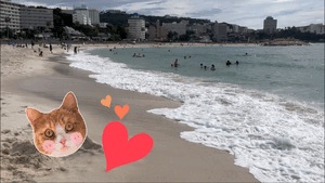 ラスト海🌊