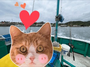 ふね🚢