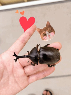ニョキッ🫎