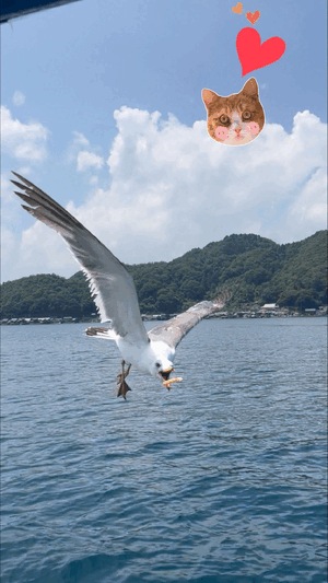 もぐもぐ👅