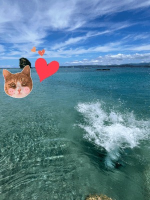 夏休みおしまい🐷