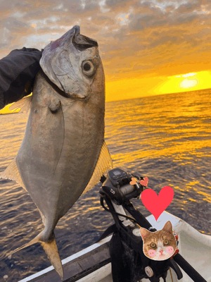 元気もりもり🐠🩷