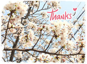 3月