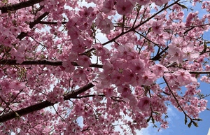 3/29