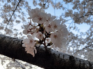 4/12
