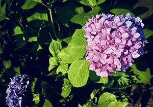 6/8