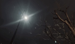 1/25