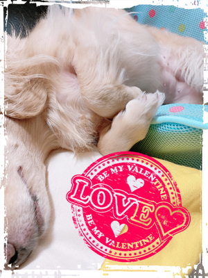 可愛い?❤️❤️❤️