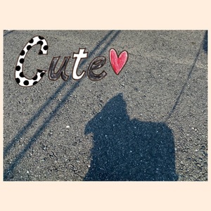 おはようございます❤️