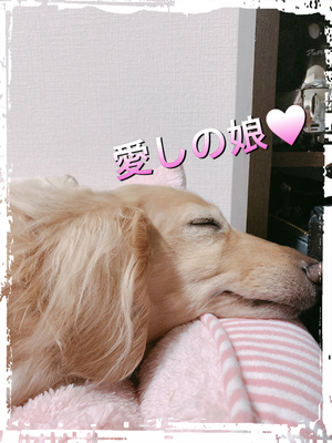 おやすみ❤️