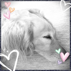おやすみなさい💕
