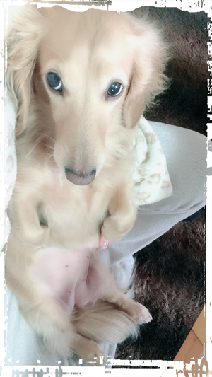 おやすみなさい❤️