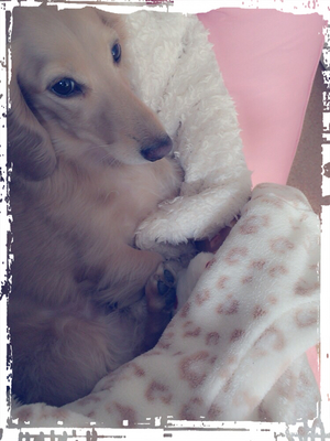 おやすみなさい💋