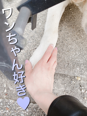 いつも💋