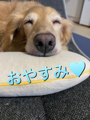 おやすみ💋