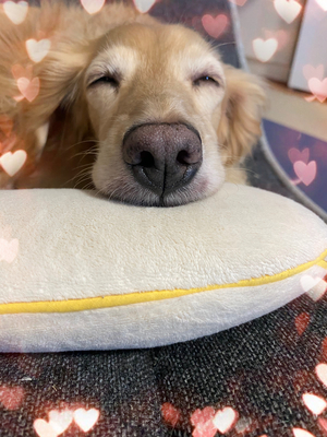 また明日💋