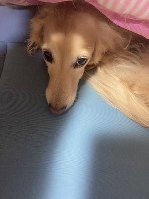 おやすみ💋