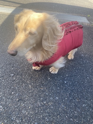 おやすみ💕