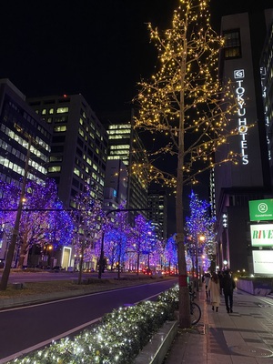 おやすみ✨