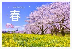 ななです