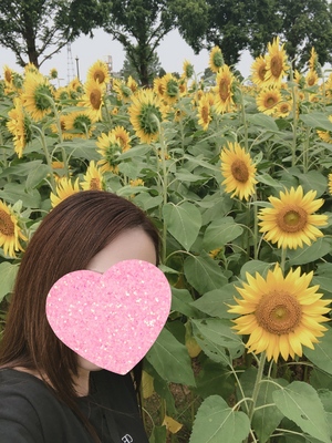 ななです