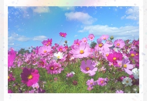 ななです