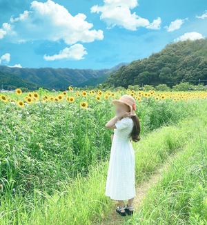 ななです