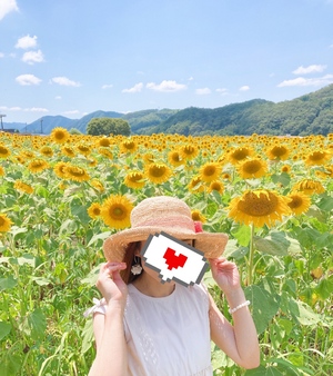 ななです
