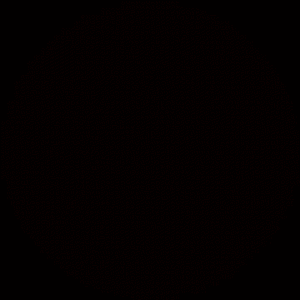 黒髪復活✨
