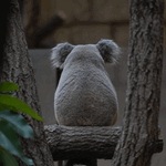 東山動物園、スカイさんがお送りする追加情報