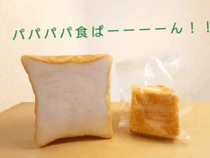 本物はどっち。