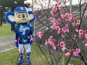 ドアラが送る予約状況