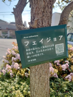 太ももは太いから太ももなんだ！