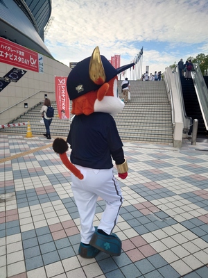 ばふぁおとばふぁこがお送りする予約空き状況