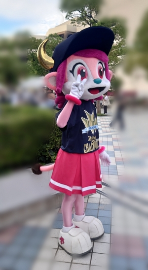 載せ忘れ