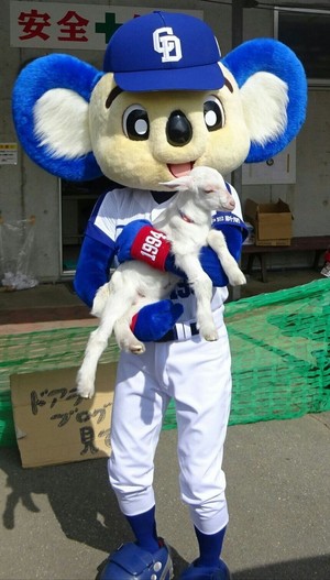 ドアラがお送りするする予約状況