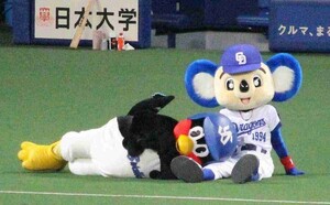 ドアラとつば九郎がお送りする予約状況