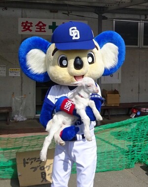 ドアラがお送りする予約状況