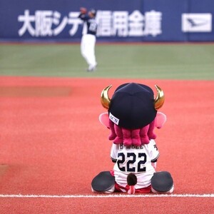 バファローベルがお送りする予約状況