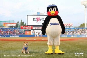 柴犬とつば九郎がお送りする予約状況