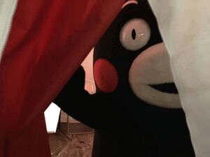ドアラじゃなくてくまモンがお送りする予約状況