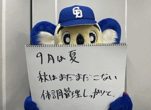ドアラがお送りする予約状況