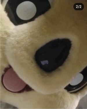 ドアラがお送りする予約状況