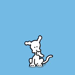 8/6(水)ハイライト