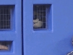 ドアラがお送りする予約状況