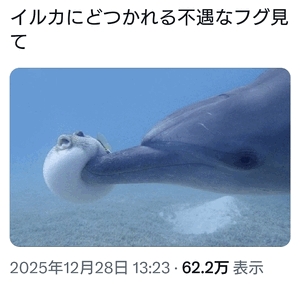 フグがお送りする予約状況
