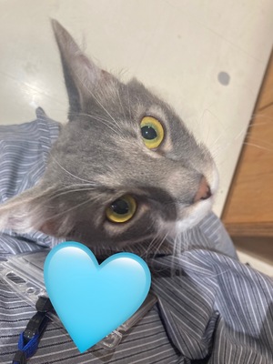 初体験♪