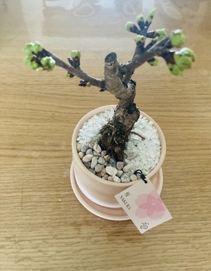 ありがとうございました♪