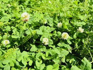 5月23日木曜日、ありがとうございました♪